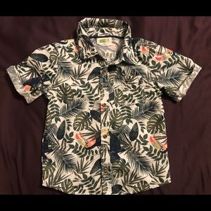Crazy 8 boys 3T tropical shirt